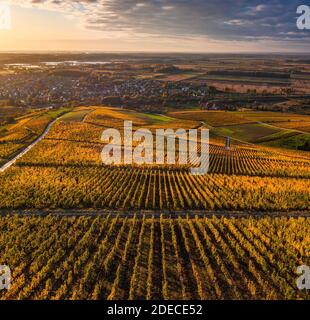 Tokaj, Hungary - Aerial view of the world famous Hungarian vineyards of Tokaj wine region with town of Tokaj and golden sunrise at background on a war Stock Photo