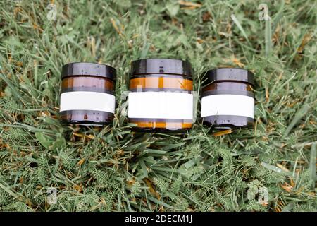 Bottles with empty stickers to copy paste lying on the green grass Stock Photo