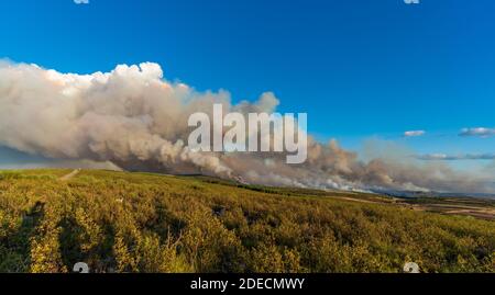 Large fire over the hillside with huge smoke columns Stock Photo