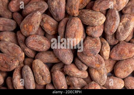 Cocoa beans in full frame. Cocoa product. Stock Photo