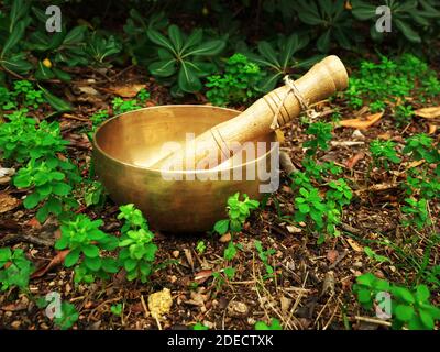 Singing bowl placed in the nature in the middle of small green plants Stock Photo