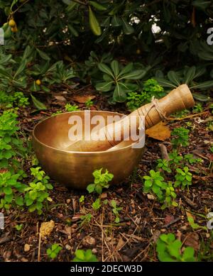 Singing bowl placed in the nature in the middle of small green plants Stock Photo