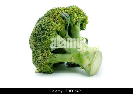 Broccoli isolated on white background Stock Photo