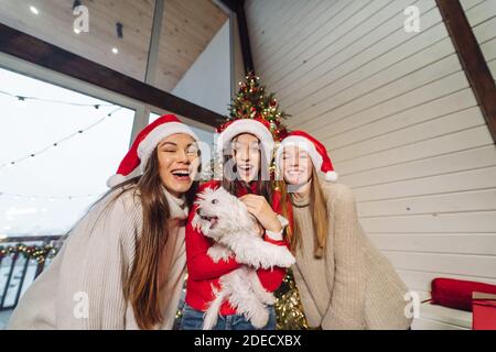 Several girls play with a small dog on New Years Eve Stock Photo