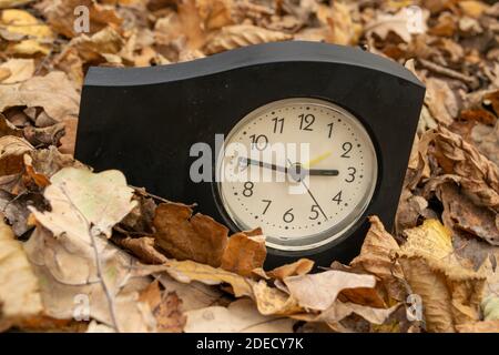 Vintage table clock among fallen autumn leaves Stock Photo