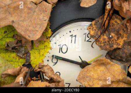 Vintage table clock among fallen autumn leaves Stock Photo