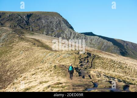 Solo female walker on Scales Fell approaching Blencathra or Saddleback, in the English Lake District Stock Photo