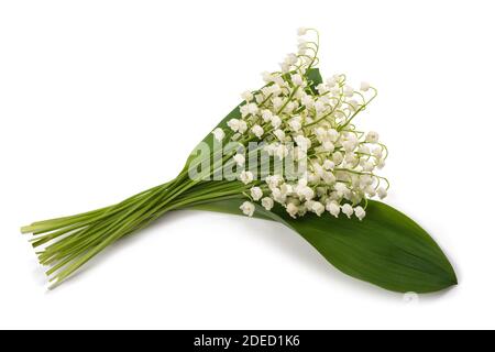 White flowers lilies of the valley isolated on white background Stock ...