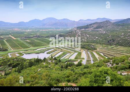 Agriculture in Croatia. Neretva Delta agricultural landscape, Croatia. Fruit orchards and irrigation canals. Stock Photo