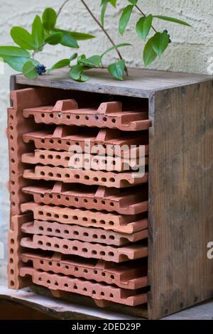 extruded interlocking roof tiles in a box as wild bee nesting aid, Germany Stock Photo