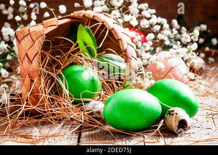 Painted green Easter eggs poured woven birch bark baskets in straw on the old wooden table in rustic style, selective focus Stock Photo