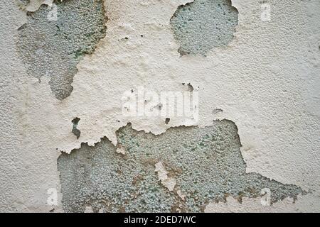 Grey cream black wall texture Stock Photo