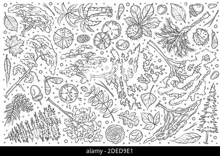 Hand drawn tree set doodle vector illustration background Stock Vector