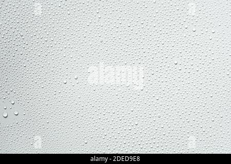 Water drops on white or grey background Stock Photo