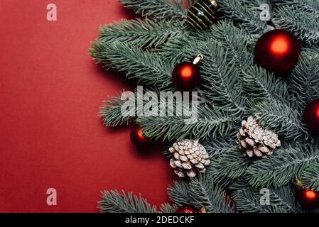Space for text between Christmas tree branches with Christmas decorations and balls on a red background. Christmas composition. Happy New Year. Space for text. Stock Photo