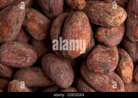 Cocoa beans in full frame. Cocoa product. Stock Photo