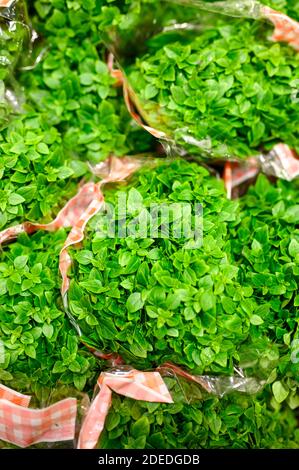 basil bundles of fresh green medicinal plants in a package. banner ...