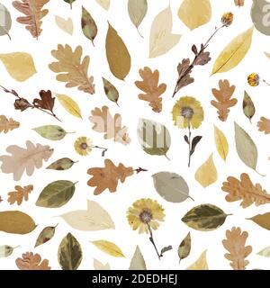 Seamless pattern from realistic autumn leaves. Autumn leaf fall. Stock Vector
