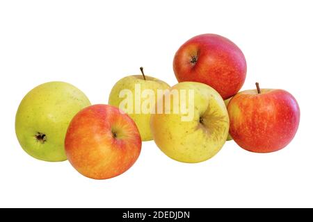image still life of red and green apples on a white background Stock Photo