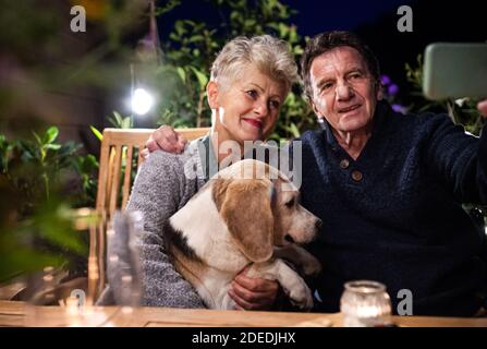 Senior couple with dog in the evening on terrace, taking selfie. Stock Photo