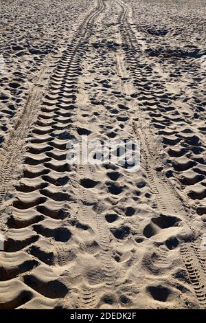 SUV tire marks on the sand in sunlight. Stock Photo