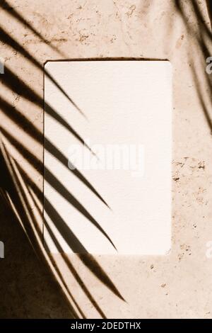 Piece of paper with palm leaf shadow Stock Photo