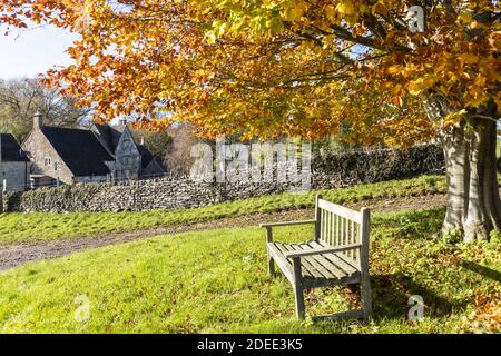 Autumn in the Cotswolds - A wooden bench beneath a beech tree beside the lane at Middle Duntisbourne, Gloucestershire UK Stock Photo