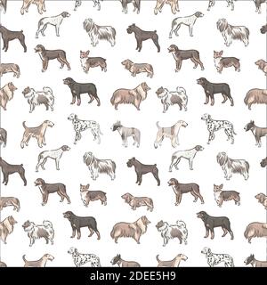 Cute dog breeds pedigree seamless pattern vector illustration set Stock Vector