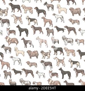 Cute dog breeds pedigree seamless pattern vector illustration set Stock Vector