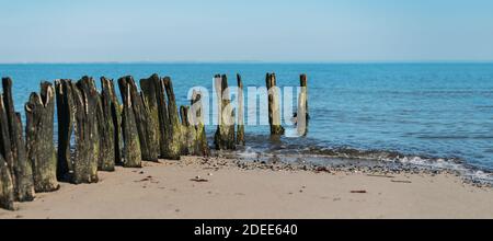 old groyne wooden stakes on sandy beach against blue sea and sky
