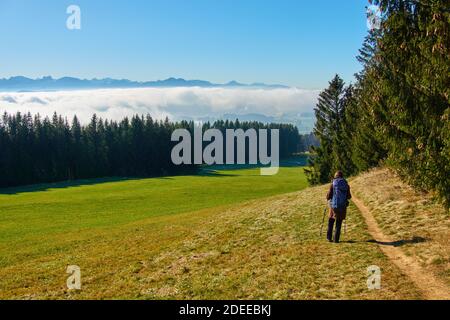 Stoetten am Auerberg, Bavaria, Germany, November, 28 2020.  Hiker and mountain biker on the track up to Auerberg mountain (1055m) and surrounding landscape, with the Alps and Inversion weather conditions (Inversionswetterlage), with fog in the valleys. © Peter Schatz / Alamy Live News Stock Photo