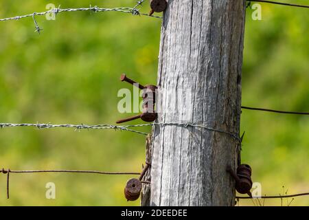 An old agricultural fence post with barbed wire and tension brackets in a field Stock Photo