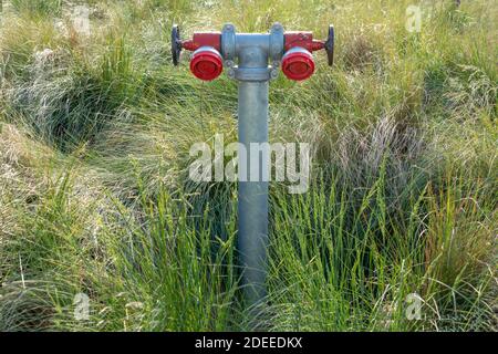 An industrial fire hydrant outdoors amongst grass and weeds in regional Australia Stock Photo