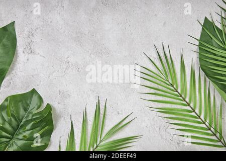 Tropical leaves on grey concrete background. View from above. Stock Photo