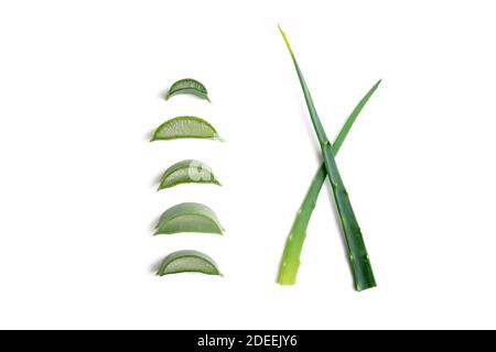 Aloe vera twigs and plant slices isolated on white background Stock Photo