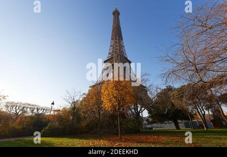 The Eiffel Tower with autumn leaves in Paris, France Stock Photo