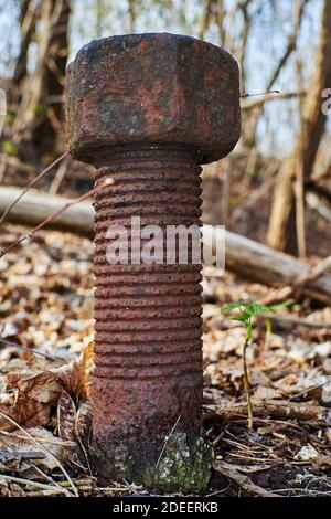 A huge screw with nut in an autumnal terrain in Berlin, Germany. Stock Photo