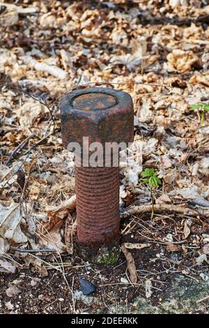 A huge screw with nut in an autumnal terrain in Berlin, Germany. Stock Photo