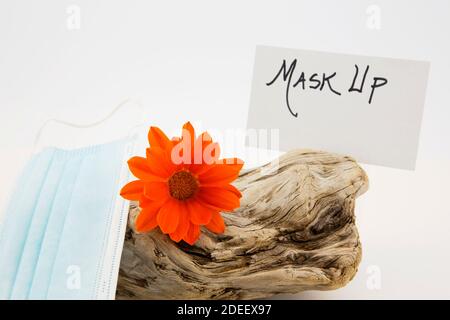 Card with handwritten MASK UP mandate message placed with protective mask, gazania flower, and driftwood on white background Stock Photo