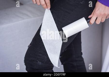 Close up of woman hand with clothes roller, lint roller or sticky roller removing animal hairs and fluff from from clothes. Pets hair on clothes Stock Photo