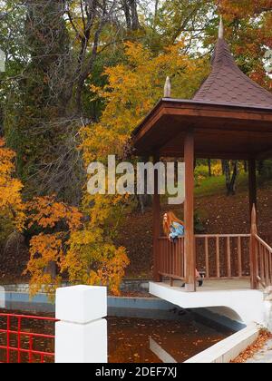 Redhead girl stands in a gazebo leaning on a railing over muddy water in an autumn park Stock Photo