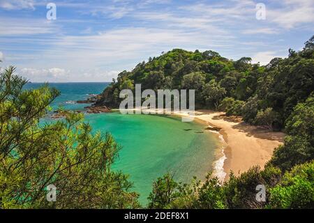 Whale Bay, Tutukaka Coast, Northland Region, North Island, New Zealand Stock Photo