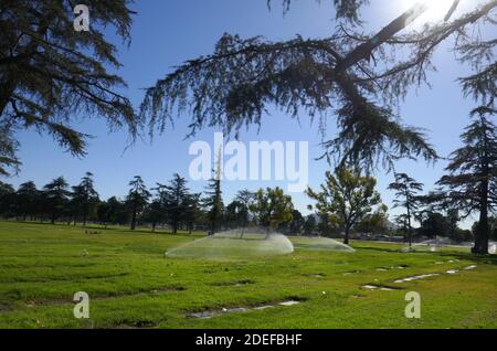 North Hollywood, California, USA 30th November 2020 A general view of atmosphere of Valhalla Memorial Park Cemetery on November 30, 2020 at Valhalla Memorial Park in North Hollywood, California, USA. Photo by Barry King/Alamy Stock Photo Stock Photo