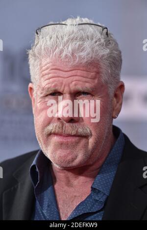 Ron Perlman attends The 30th Anniversary Screening of 'When Harry Met Sally' Opening Night at the 2019 10th Annual TCM Classic Film Festival on April 11, 2019 in Los Angeles, CA, USA. Photo by Lionel Hahn/ABACAPRESS.COM Stock Photo