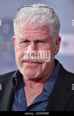 Ron Perlman attends The 30th Anniversary Screening of 'When Harry Met Sally' Opening Night at the 2019 10th Annual TCM Classic Film Festival on April 11, 2019 in Los Angeles, CA, USA. Photo by Lionel Hahn/ABACAPRESS.COM Stock Photo