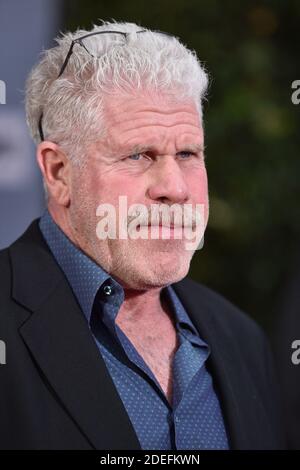 Ron Perlman attends The 30th Anniversary Screening of 'When Harry Met Sally' Opening Night at the 2019 10th Annual TCM Classic Film Festival on April 11, 2019 in Los Angeles, CA, USA. Photo by Lionel Hahn/ABACAPRESS.COM Stock Photo