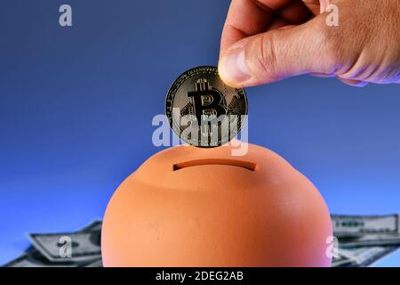 Terracotta piggy bank - money box - isolated on blue background. Saving one Bitcoin in a piggy-bank. cryptocurrency saving Stock Photo