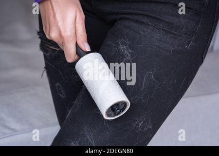 Woman cleans clothes with clothes roller, lint roller or sticky roller.  Cleaning pets hair on the clothes Stock Photo - Alamy
