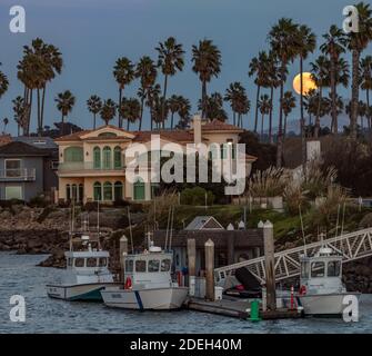 Harbor Patrol boats securely docked in the ocean channel of waterfront homes as the full Beaver Moon rises behind the palm trees. Stock Photo