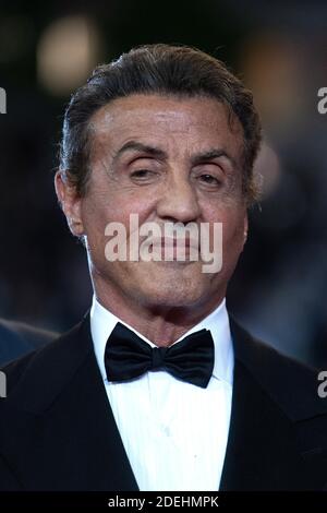 Sylvester Stallone attending the the screening of Rambo - First Blood as part of the 72nd Cannes International Film Festival in Cannes, France on May 24, 2019. Photo by Aurore Marechal/ABACAPRESS.COM Stock Photo